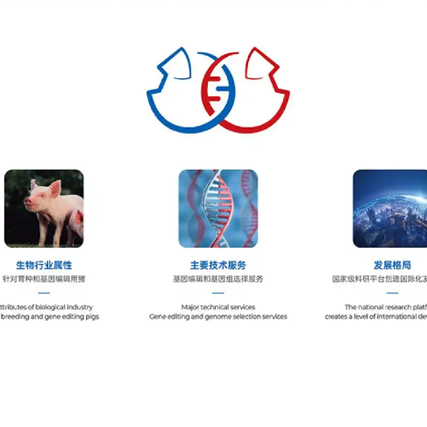 如何巧妙融合不同元素進(jìn)行Logo設(shè)計(jì)？
